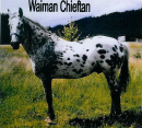 Waiman Chiefton