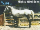 Mighty Windsong