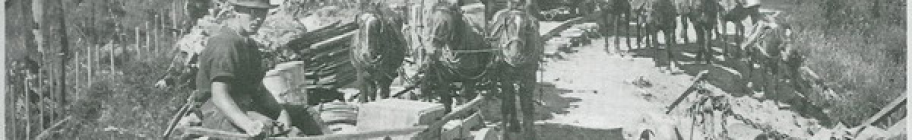 Cart & horse